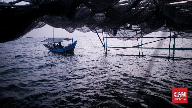 Destructive Fishing Watch (DFW) Indonesia mennyebut satu kapal ikan berbendara Indonesia dengan 8 orang ABK ditangkap otoritas Papua Nugini sejak 17 November.
