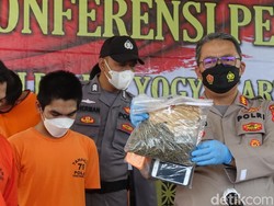 Polda DIY Bongkar Jaringan Peredaran Ganja Lintas Provinsi, 1 Buron