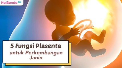 Detik Network