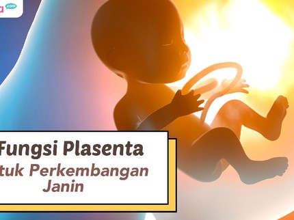 5 Fungsi Plasenta untuk Perkembangan Janin