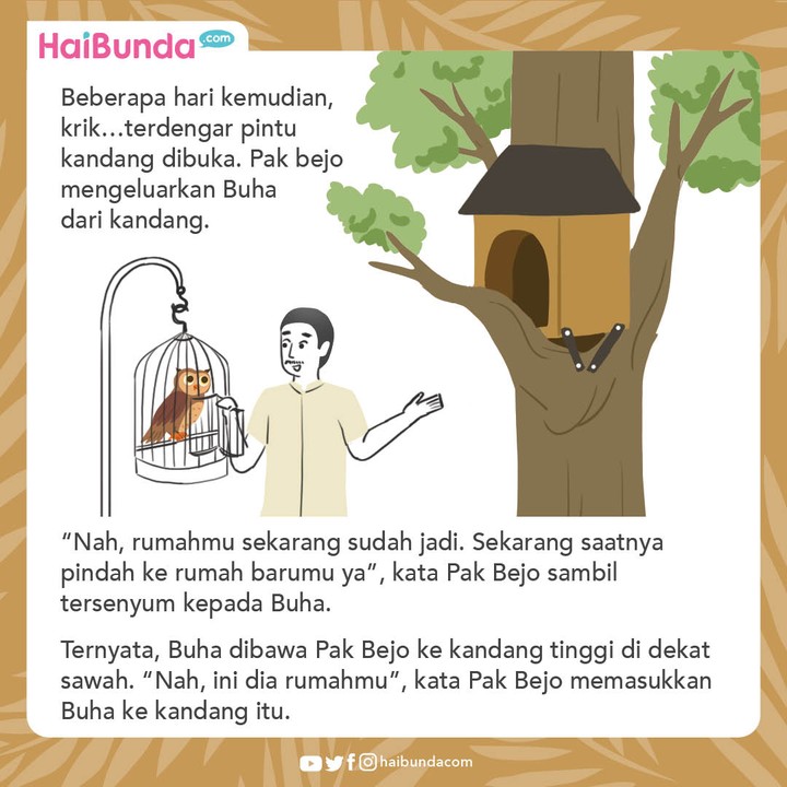 Cerita Nusantara Rumah Baru Buha