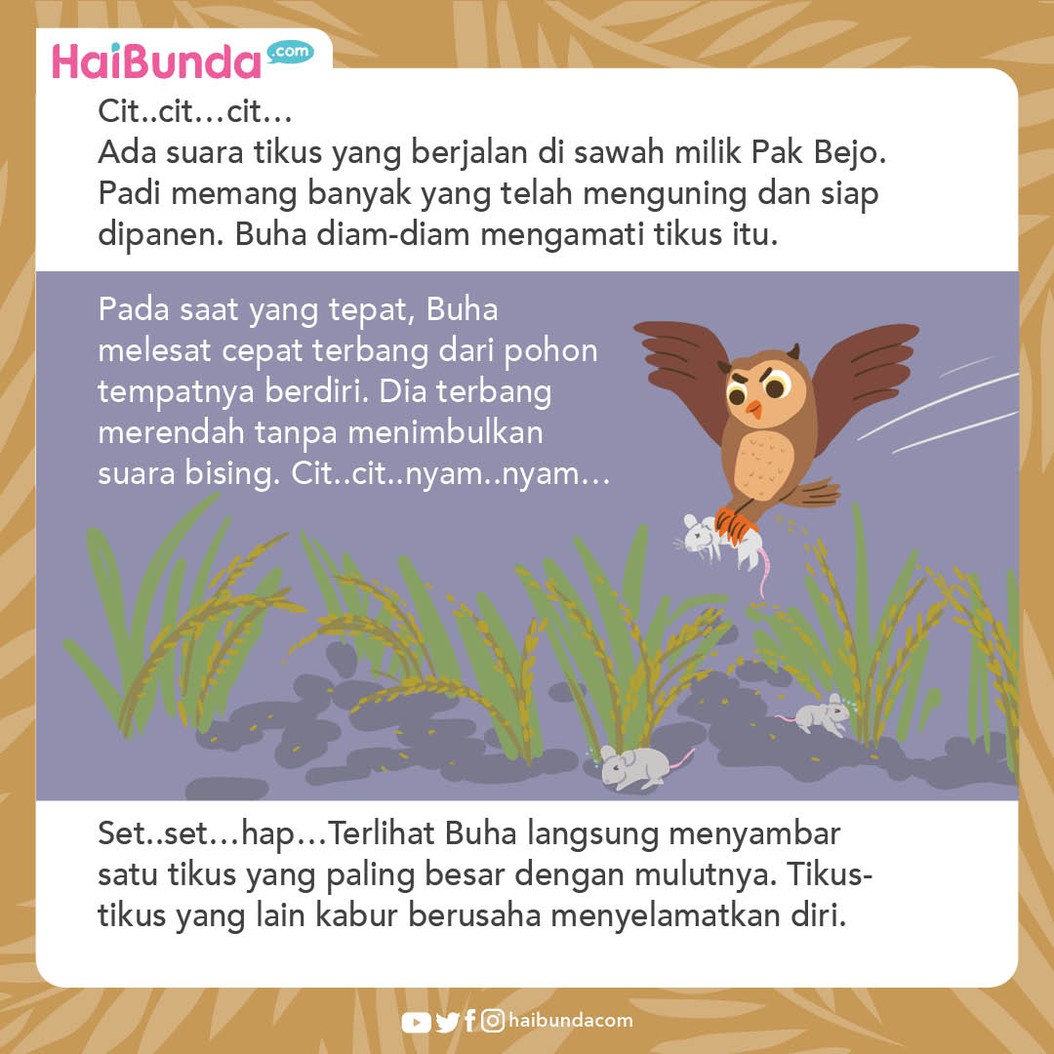 Cerita Nusantara Rumah Baru Buha