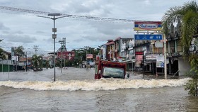 Banjir Sintang, Jokowi Janjikan Penghijauan Daerah Hulu