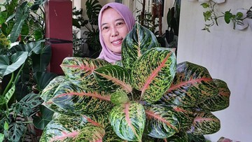 BETTY SEMPAT INGIN MENJADI INSTRUKTUR YOGA