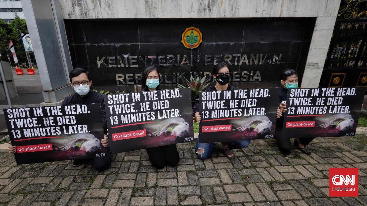 FOTO: Ramai-ramai Protes Penyiksaan Sapi Potong