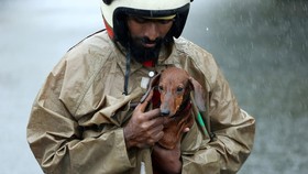 FOTO: Mengarung Banjir di Relung Kota India