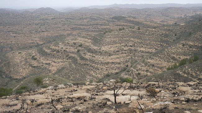 Taman Ashaafean menjadi kawasan pertama di Libya yang masuk Cagar Biosfer UNESCO. Namun perang sampai kekeringan melanda kelestarinnya.
