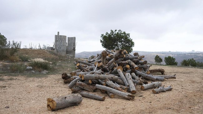 FOTO: Cagar Biosfer UNESCO di Libya yang Kian Gundul