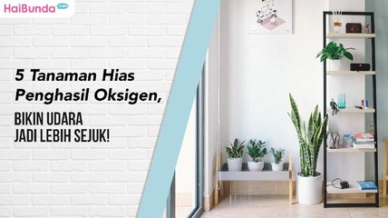 Detik Network