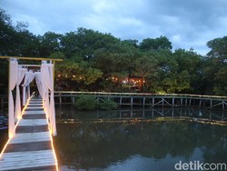 Ini Spot Mangrove di Jepara, Sunsetnya Tiada Dua