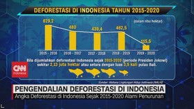 VIDEO: Deforestasi Dan Bencana Banjir
