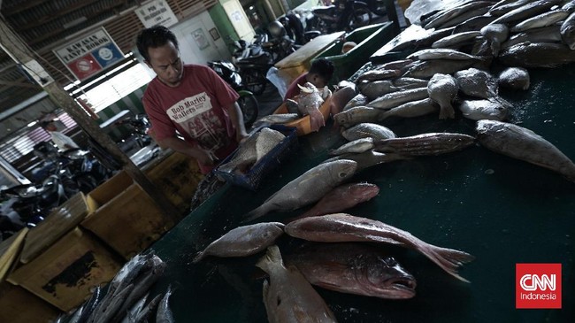 Jutaan ikan yang melimpah dan blok migas di Natuna dinilai membuat kapal dari pelbagai negara asing wira-wiri di Laut Natuna.