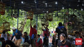 FOTO: Merdu Adu Kicau Burung di Semarang