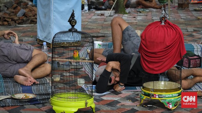 FOTO: Merdu Adu Kicau Burung di Semarang