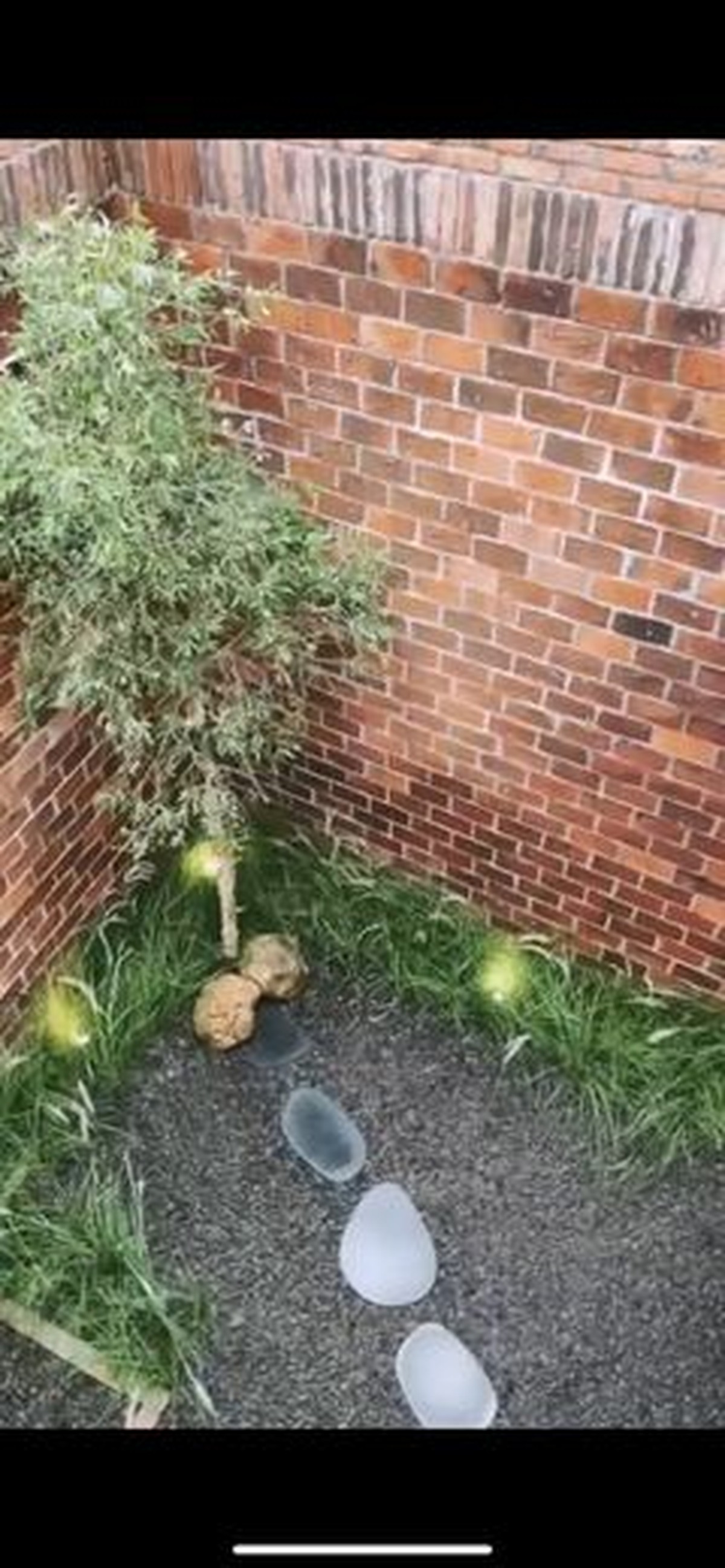 Arya Saloka baru saja pindah ke rumah barunya yang bergaya farm house hasil dari kerja kerasnya&period; Yuk intip penampakan rumahnya&excl;