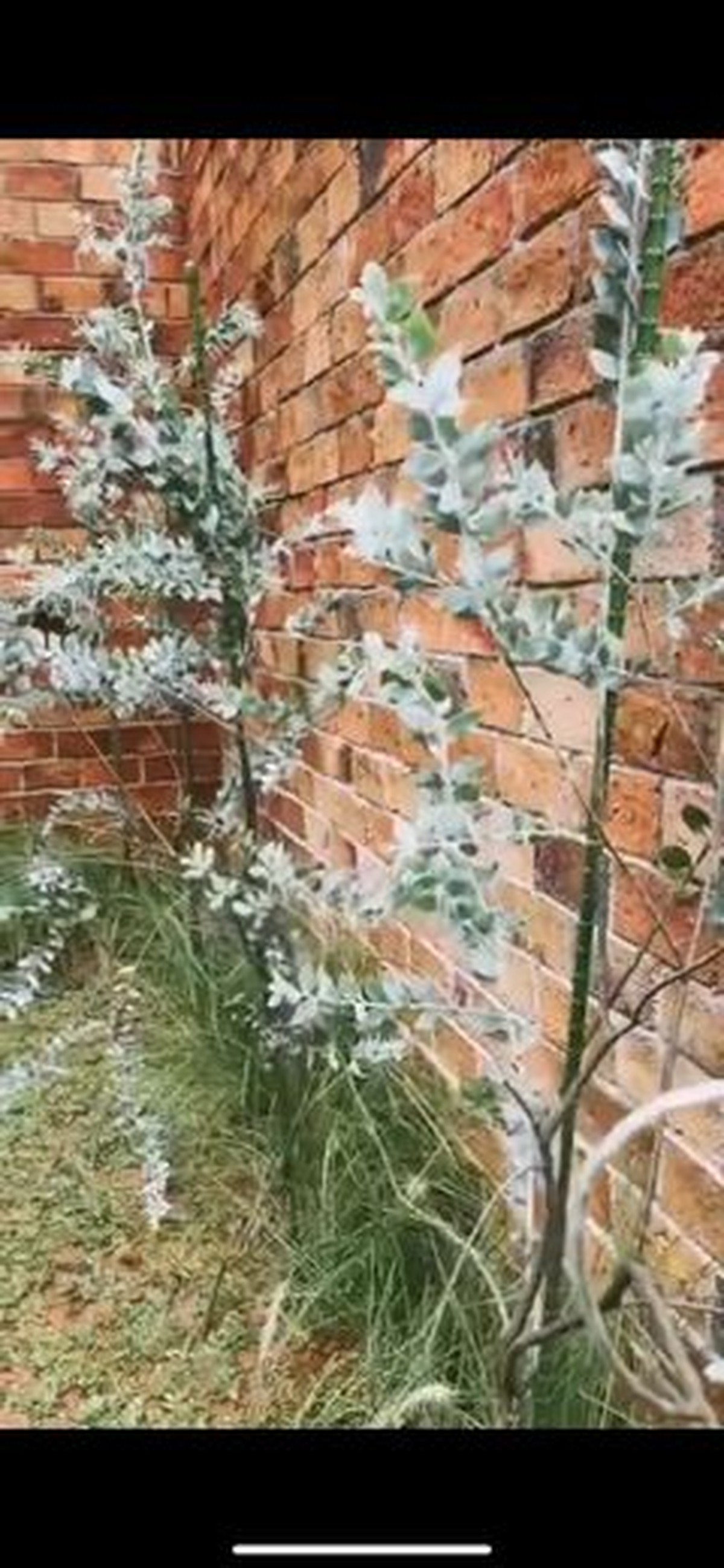 Arya Saloka baru saja pindah ke rumah barunya yang bergaya farm house hasil dari kerja kerasnya&period; Yuk intip penampakan rumahnya&excl;