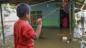 Banjir Besar Kalimantan, Pertaruhan Rapor Jokowi Atasi Bencana