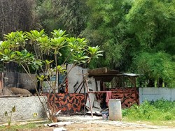 Posko Pemuda Pancasila di Meruya Terbakar, Begini Kesaksian Warga
