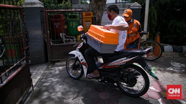 FOTO: Wujudkan Ibu Kota Bebas Rabies di Tahun 2022
