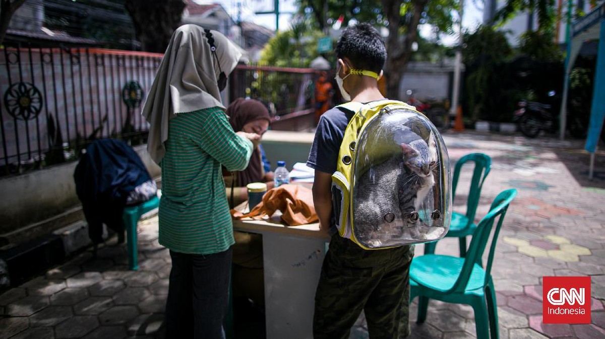FOTO: Wujudkan Ibu Kota Bebas Rabies di Tahun 2022