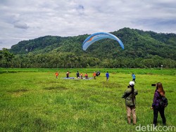 Melihat Aksi Pilot Paralayang dalam Festival Paralayang di Kulon Progo