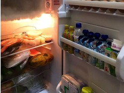 So Sweet! Kisah Cinta Pasangan Ini Berawal dari Isian Kulkas Penuh Makanan