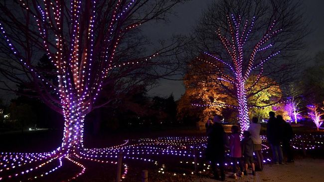 Tak cuma Instagramable, festival cahaya di Royal Botanical Gardens, London, juga memperhatikan keberlangsungan hidup tumbuhan di sekitarnya.