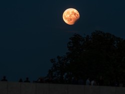 Besok Gerhana Bulan Jam Berapa? Jangan Kelewatan, Cek Jadwalnya di Sini