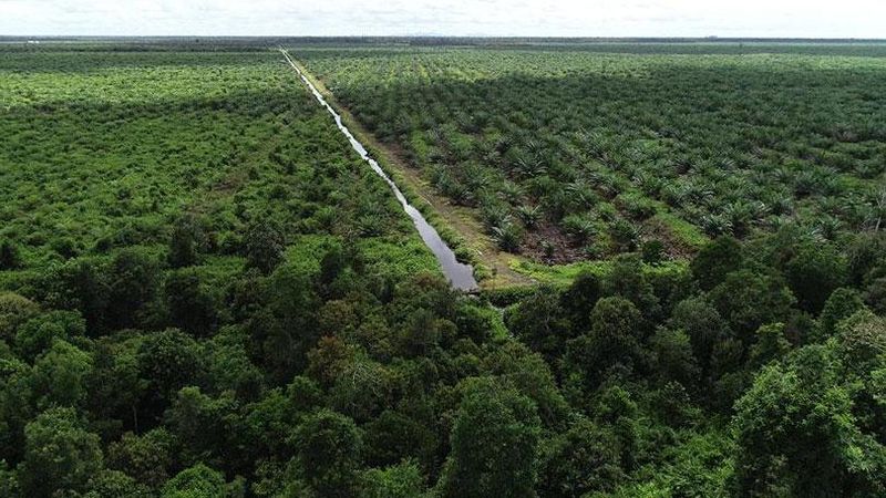 Kementerian Lingkungan Hidup dan Kehutanan (KLHK) memberikan penjelasan terhadap beberapa hal yang dikemukakan oleh Greenpeace dalam siaran persnya