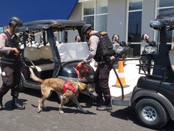 28 Anjing K9 Jaga Sirkuit Mandalika: Lacak Bom, Narkoba Hingga Pencuri