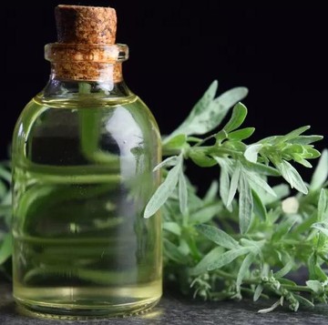 img-title Segudang Manfaat Mugwort untuk Kulit Berjerawat dan Sensitif, Wajib Tahu!