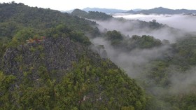 KLHK Larang 66,5 Juta Hektare Hutan Dikonsesi selama 6 Bulan