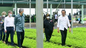 Presiden Ajak Para Dubes Tinjau Persemaian Rumpin di Bogor