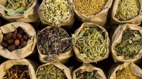 8 Tanaman Herbal untuk Menurunkan Gula Darah, Tak Harus Obat