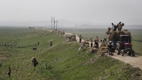 Rusia Klaim Korut Kemungkinan Kirim Pekerja Benahi Kehancuran Donbas