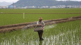 Enam BUMN Merger Jelang Holding Pangan