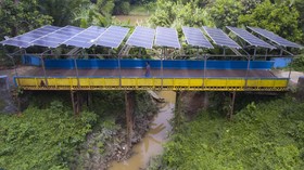 Eco Agrotomation, Upaya Bukit Asam Berdayakan Masyarakat Sumsel