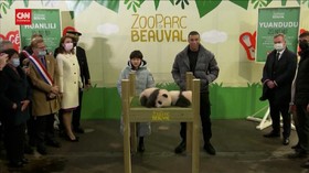 VIDEO: Kylian Mbappe Jadi Bapak Angkat Bayi Panda