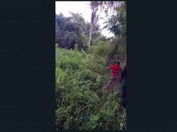 Ibu Sebut Bocah Hilang Dibawa Wewe Gombel Depok, Begini Momen Ditemukannya