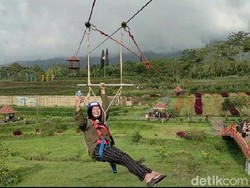 Ngeri-ngeri Sedap Jajal Flying Fox di Lereng Gunung Argopuro