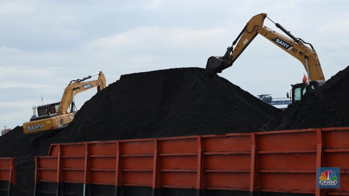 Harga Batu Bara Ambruk 5%, AS-Iran Damai Jadi Biang Kerok
