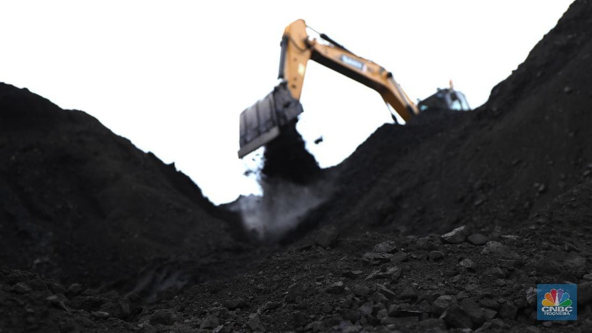 Harga Batu Bara Jatuh Hampir 9%, Ada Andil RI?