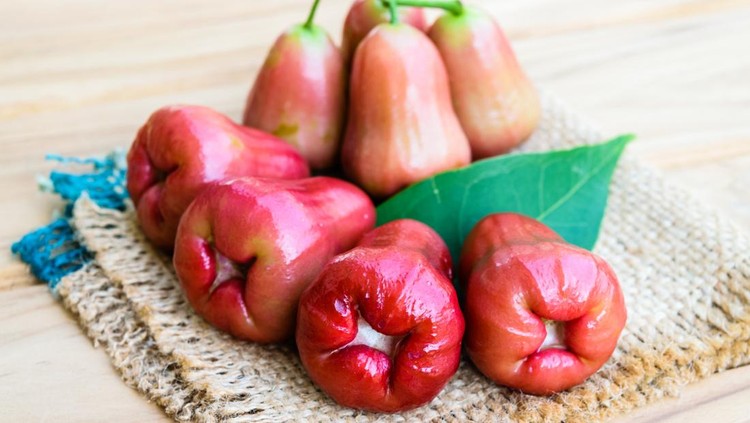 Jambu air Jambu air