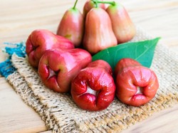 10 Jenis Jambu Air di Indonesia Beserta Gambarnya