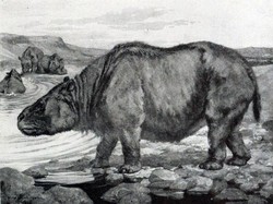 Mengenal Toxodon dan Asal-usul Ide Teori Darwin