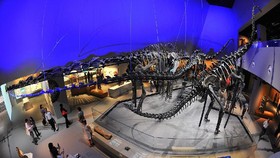 7 Wisata Anak di Singapura, Bertemu Dinosaurus sampai Main Salju