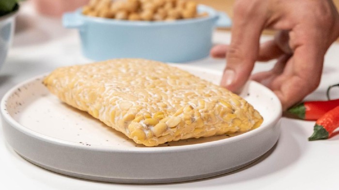 Sehat dan Lezat! Ini 4 Resep Camilan dari Tempe untuk Temani Musim Hujan, Mari Kita Coba!