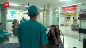 VIDEO: Warga Diserang Babi Hutan Saat Berladang, Luka Di Sekujur Tubuh