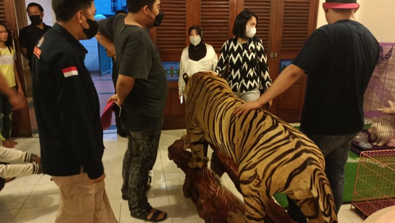 Balai Konservasi Sumber Daya Alam Sumatera Selatan (BKSDA Sumsel) bersama dengan Unit Pidana Khusus (Pidsus) Polrestabes Palembang