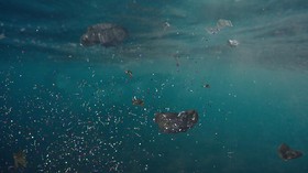 Waspada, Makanan Mengandung Mikroplastik Berisiko Untuk Kesehatan